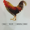 product(248)